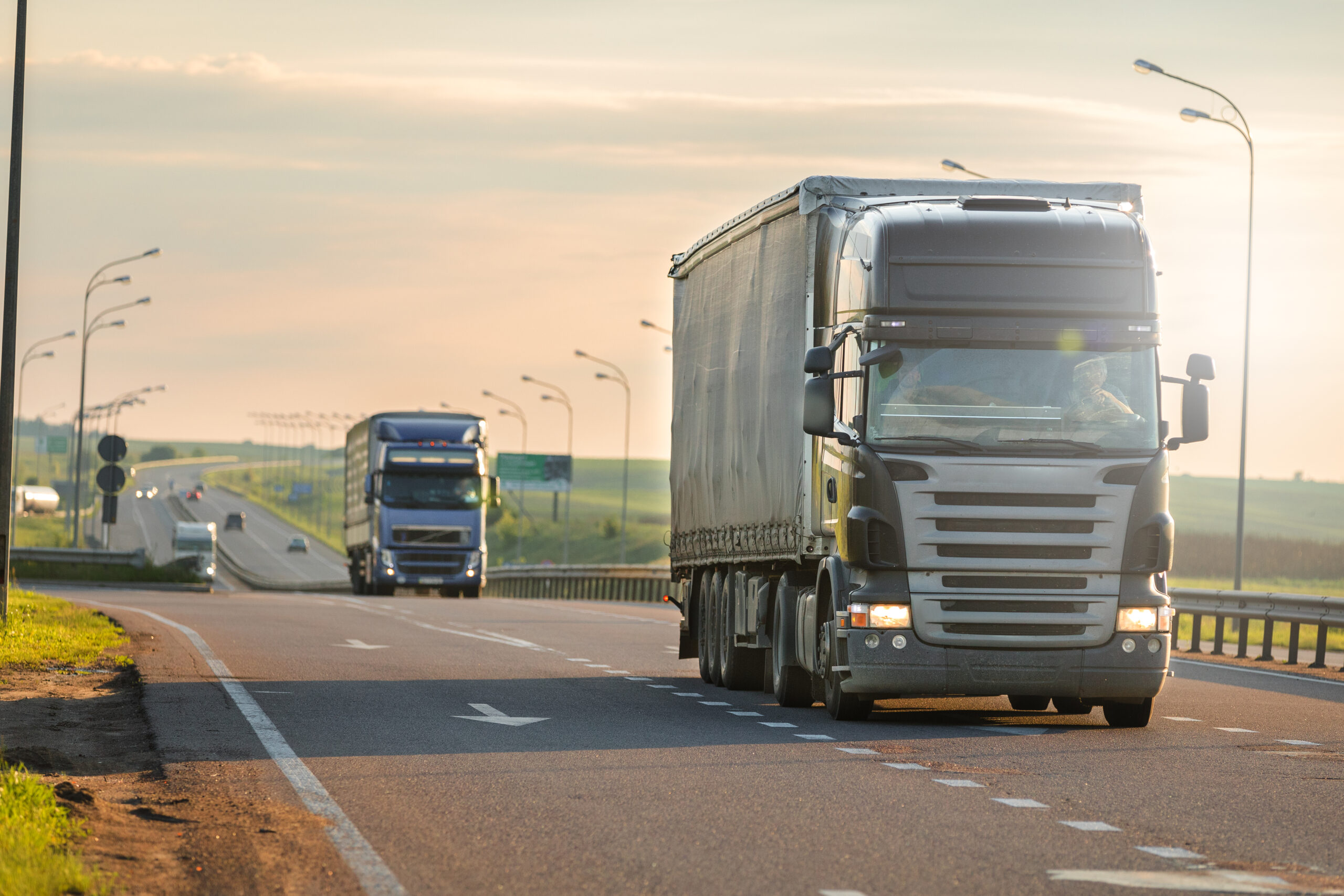 LKW fährt einen Umzug nach Schweden